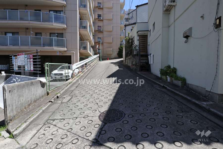 敷地南側の前面道路（西側から）