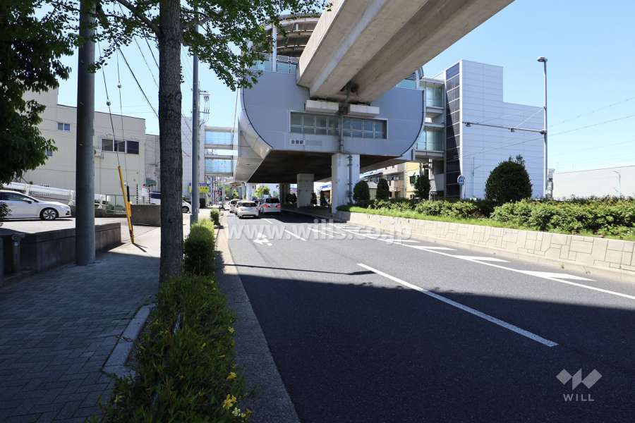 敷地西側の前面道路（北側から）