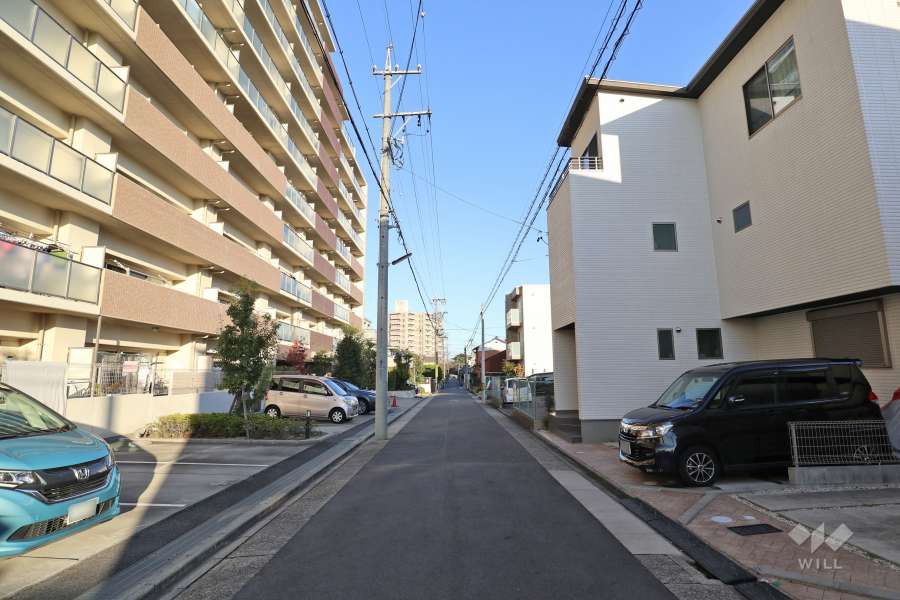 敷地の南側前面道路（西側から）
