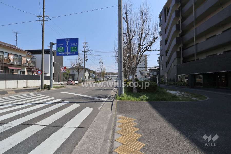 敷地の北側前面道路（西側から）