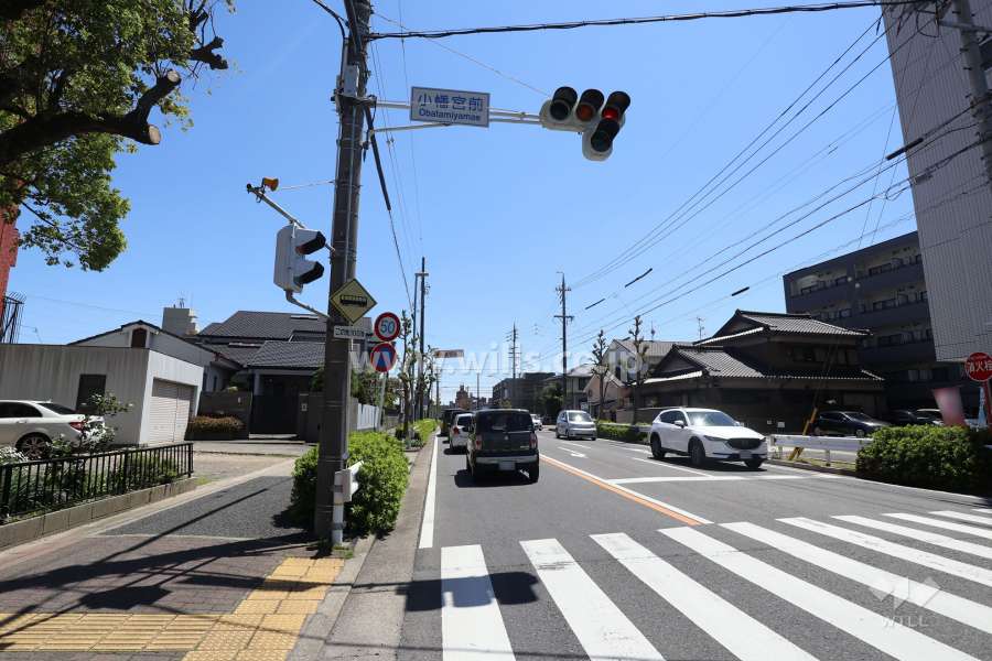 敷地西側の前面道路（北側から）