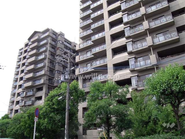 エントランスアプローチ