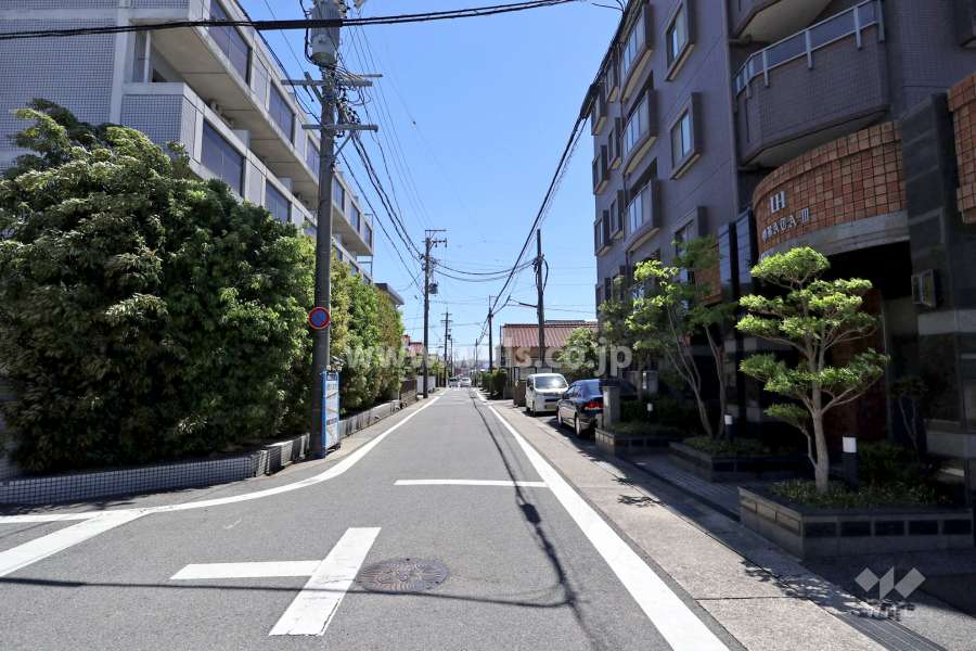 敷地東側の前面道路