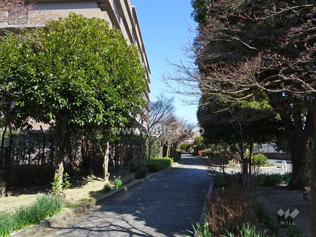 敷地南側は緑道に面しています。