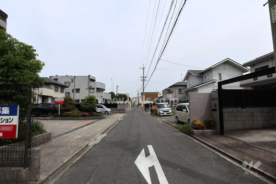敷地南側の前面道路（西側から）