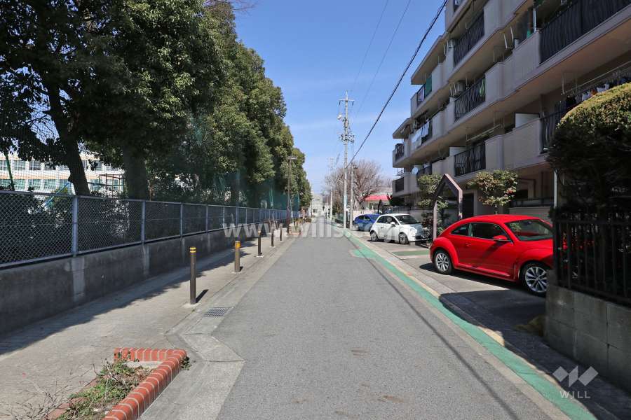 敷地の西側前面道路（南側から）