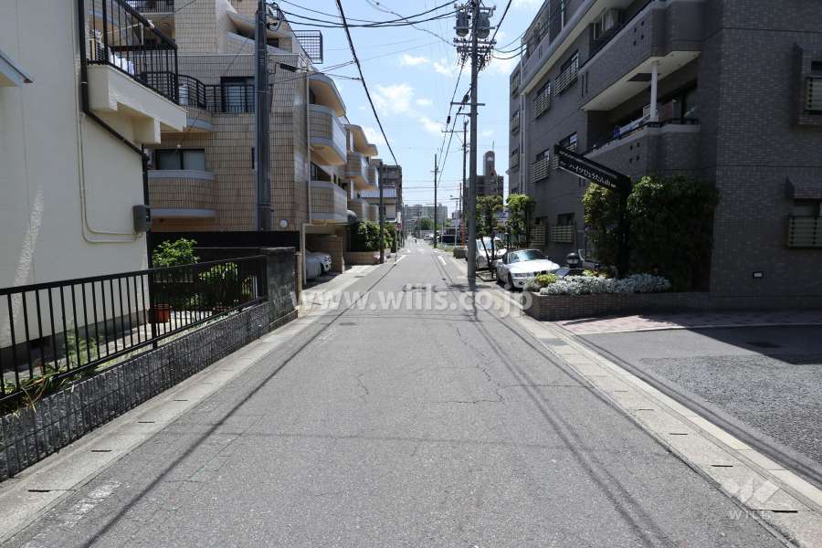 敷地東側の前面道路（北側から）