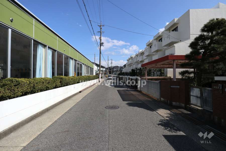敷地の北側前面道路（西側から）