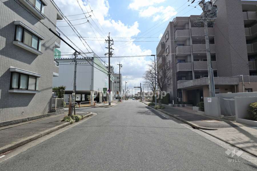敷地の北東側前面道路（北西側から）