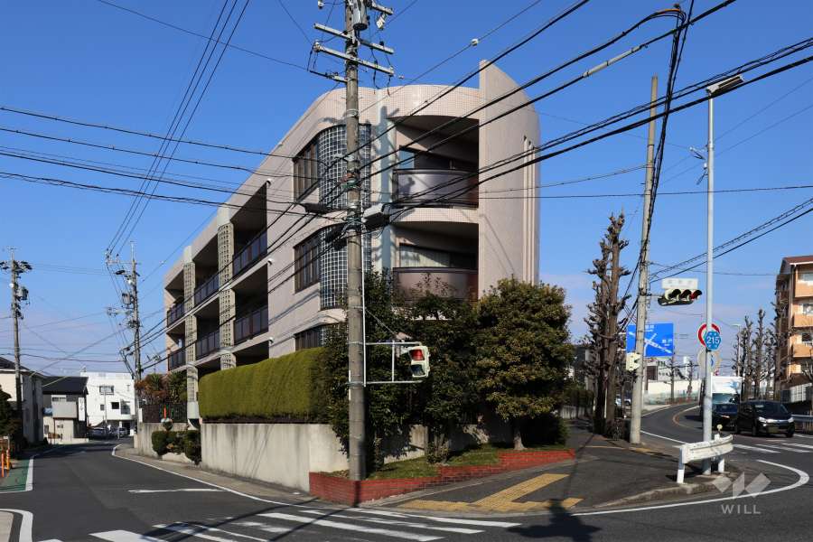 シティコーポ北藤ヶ丘の外観(東側から）