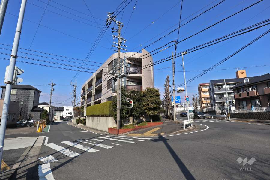 敷地南側の前面道路