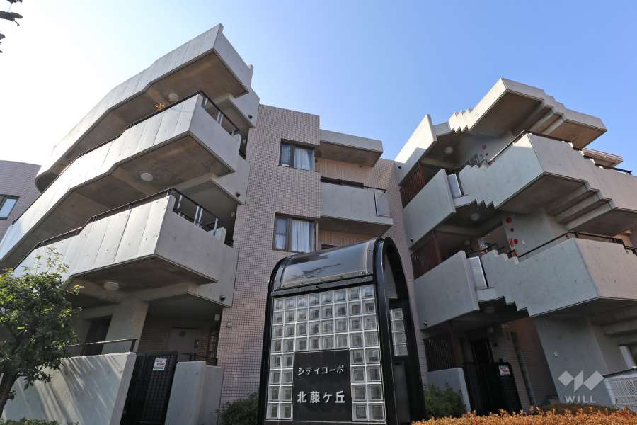シティコーポ北藤ヶ丘の外観(北側から）