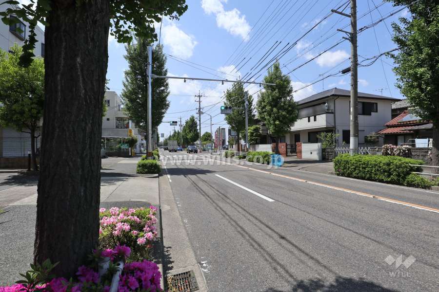 敷地北側の前面道路（東側から）