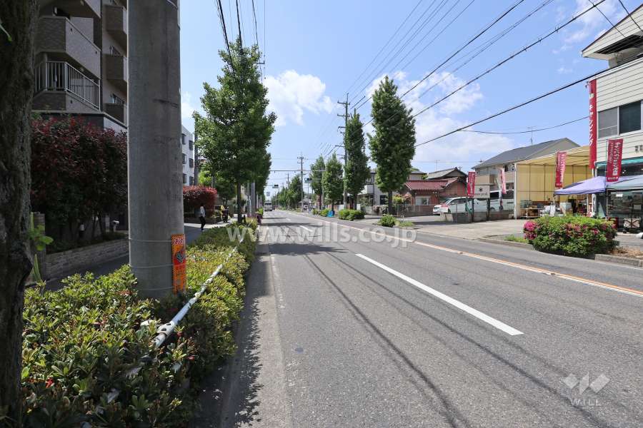 敷地北側の前面道路（東側から）