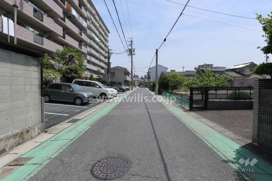 敷地南側の前面道路（西側から）