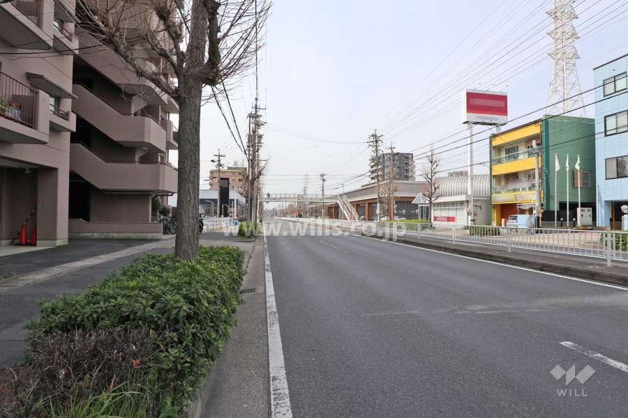 敷地北側の前面道路（東側から）