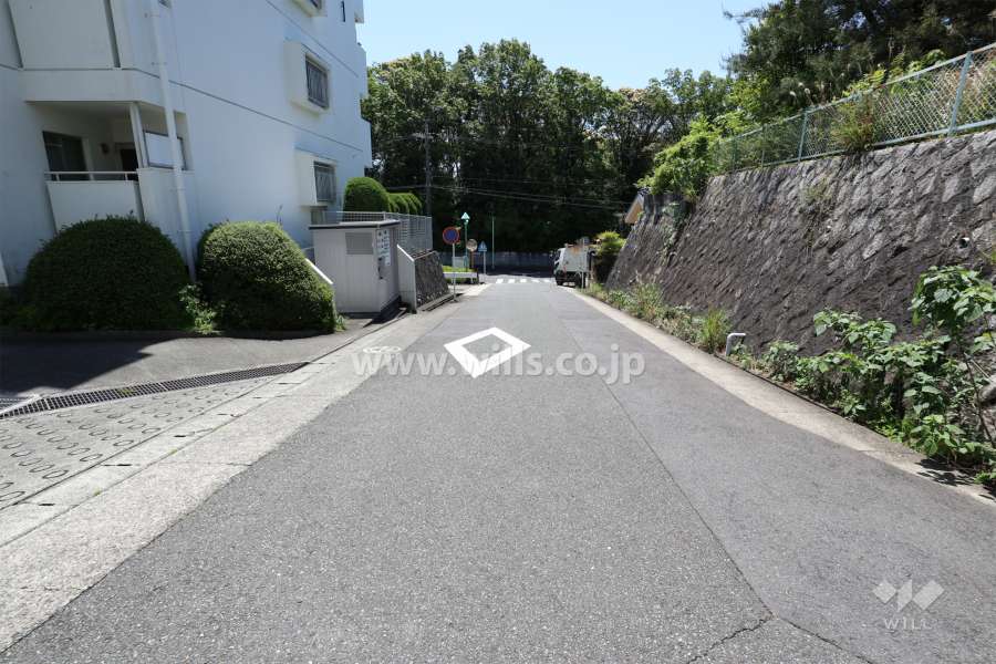 敷地西側の前面道路（北側から）