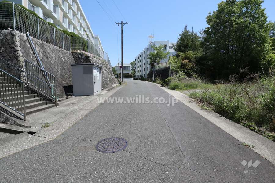 敷地南側の前面道路（西側から）