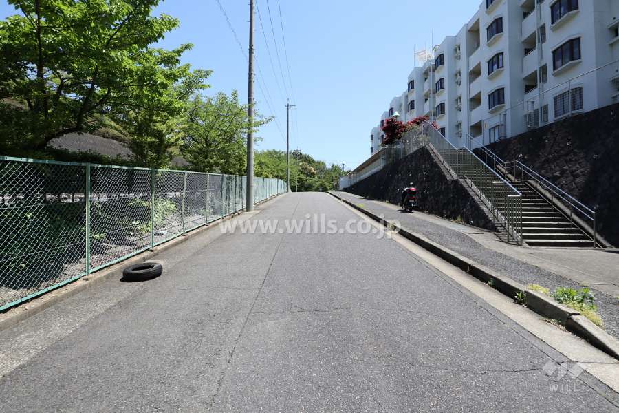敷地北側の前面道路（西側から）