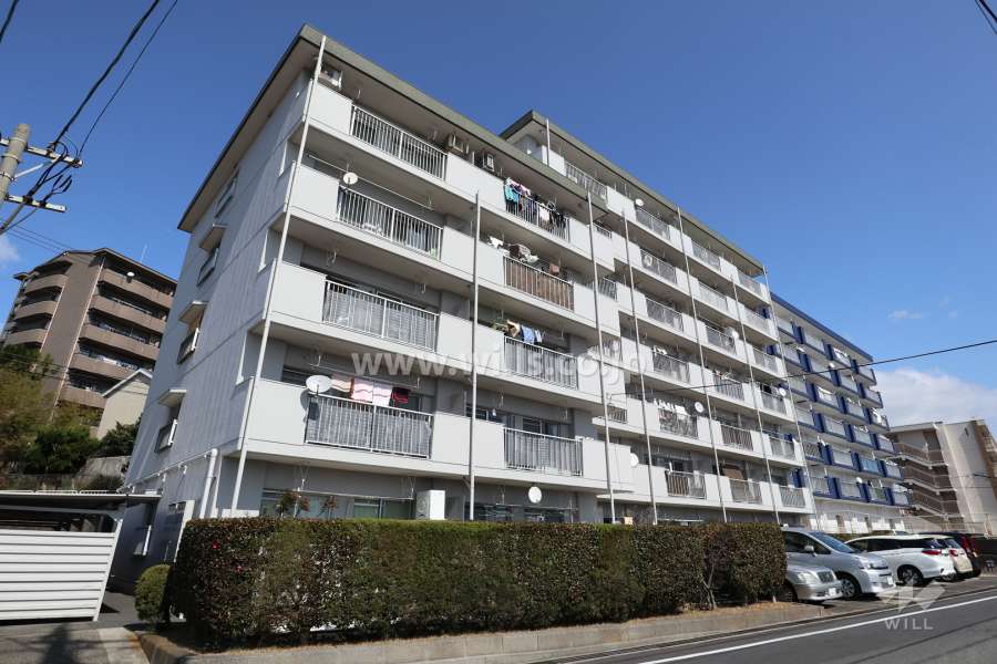 グリーンコーポ白山の外観（南西側から）