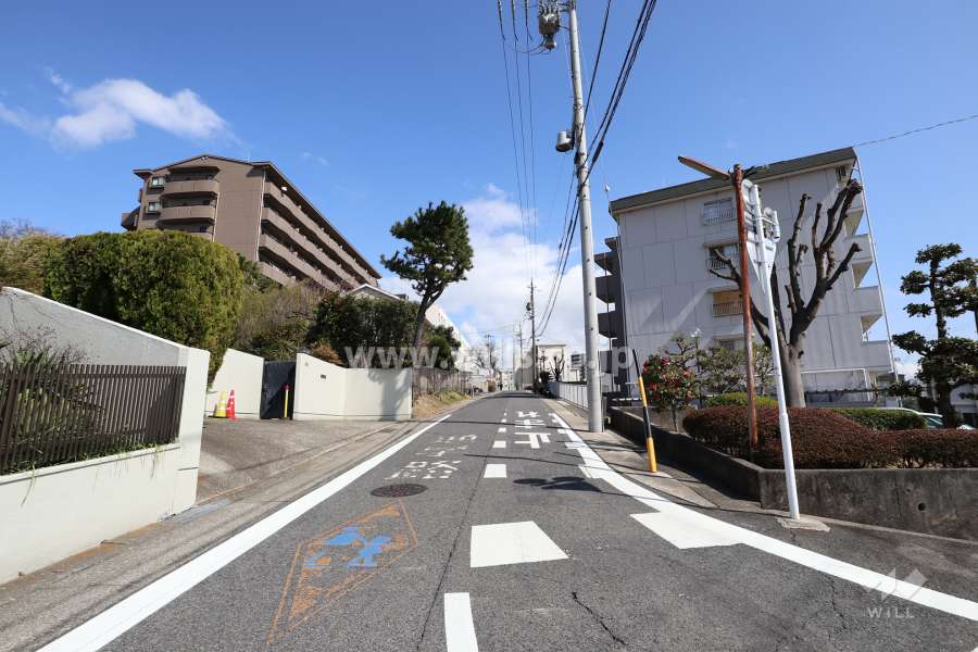 敷地の北西側前面道路（南西側から）
