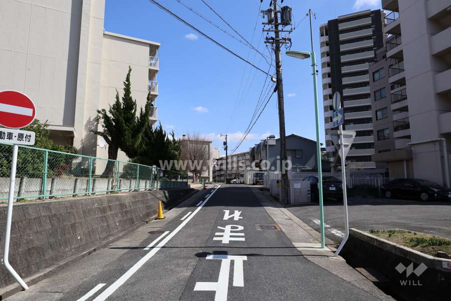 敷地の北側前面道路（西側から）