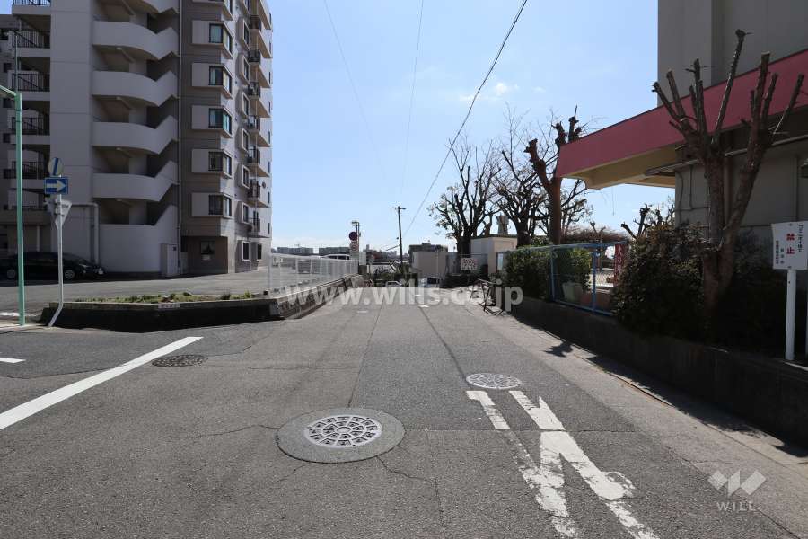 敷地の西側前面道路（北側から）