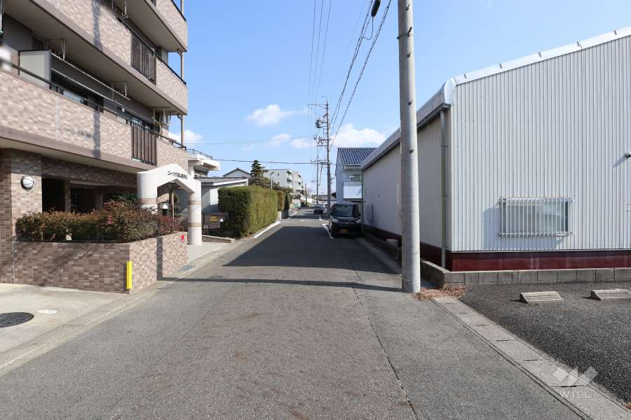 敷地南側の前面道路（西側から）