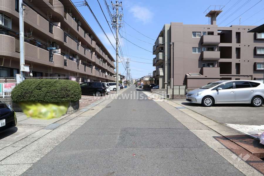 敷地南側の前面道路（西側から）