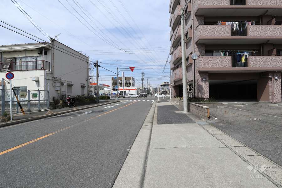 敷地の西側前面道路（南側から）