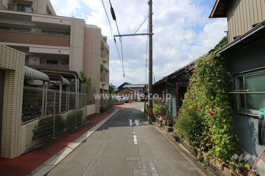 敷地東側の前面道路（南側から）