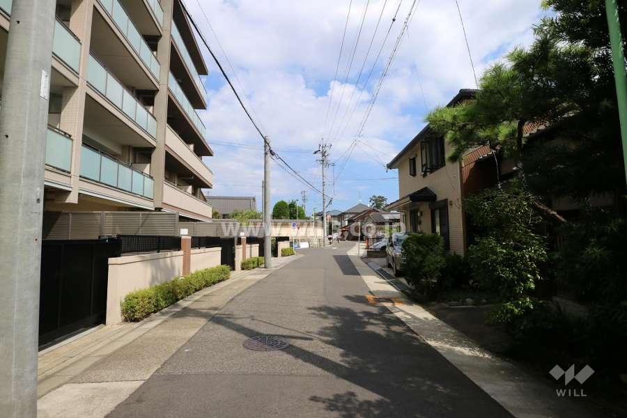 敷地南側の前面道路（西側から）