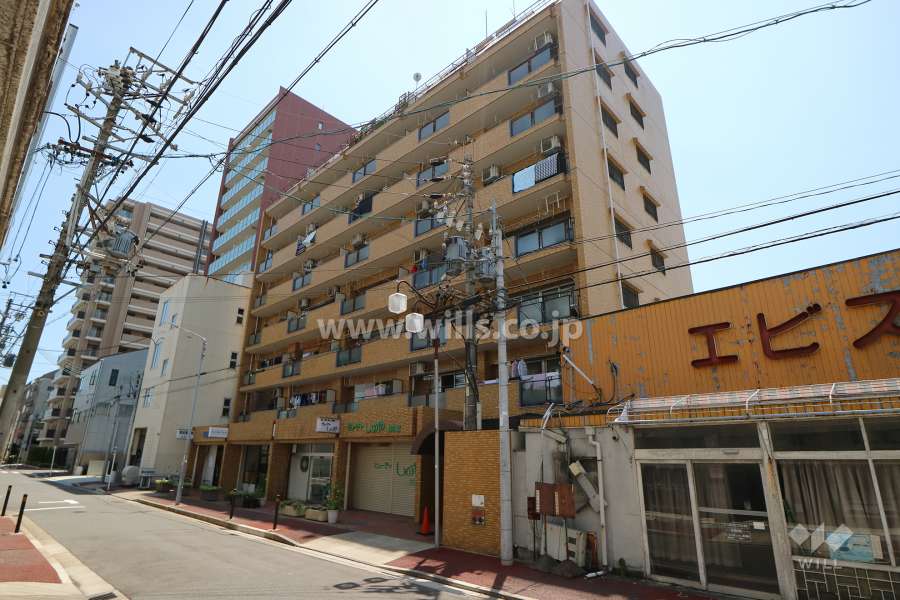 ダイアパレス堀田の外観（北東側から）