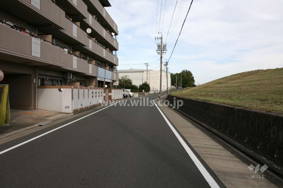 敷地南側前面道路（西側から）