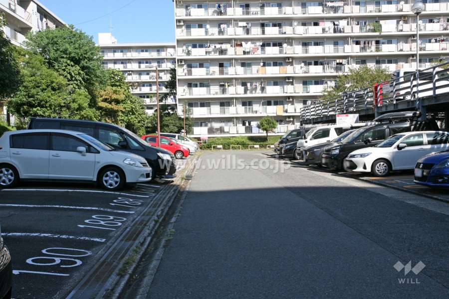 敷地東側の前面道路（南側から）