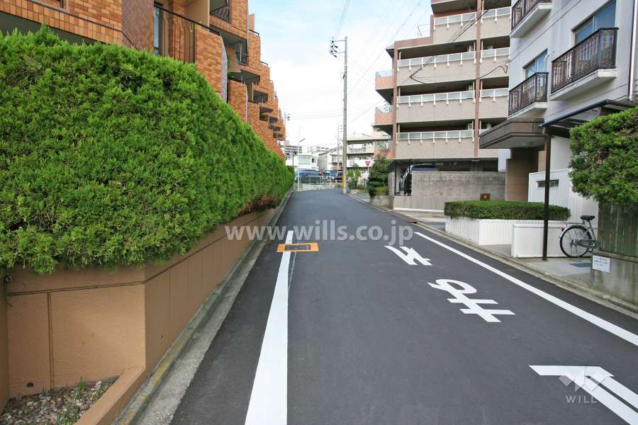 敷地南東側の前面道路