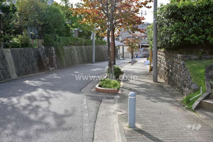 敷地北側の前面道路(東側から)