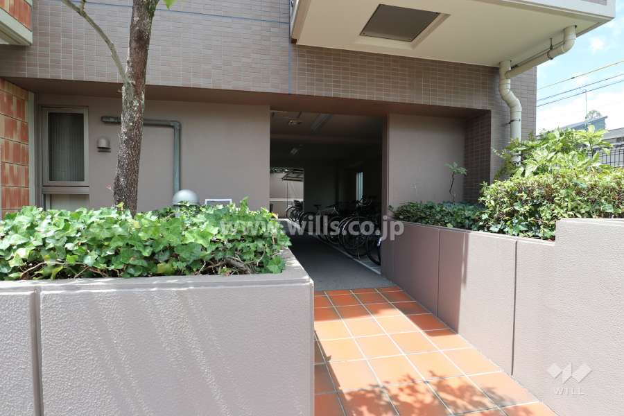 駐輪場の入り口