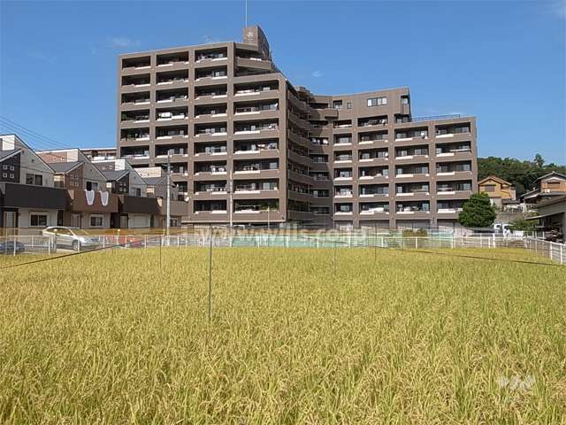 周辺には田畑も残り、のどかで、緑豊かです。