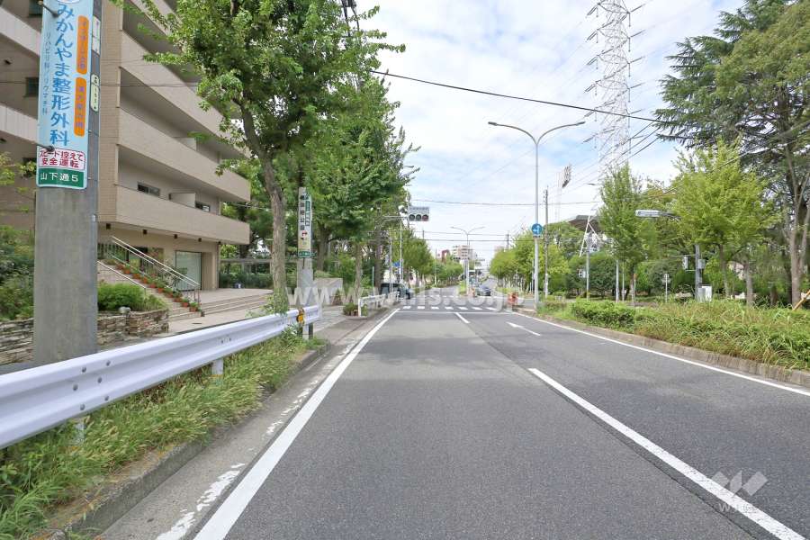 敷地北側の前面道路（東側から）