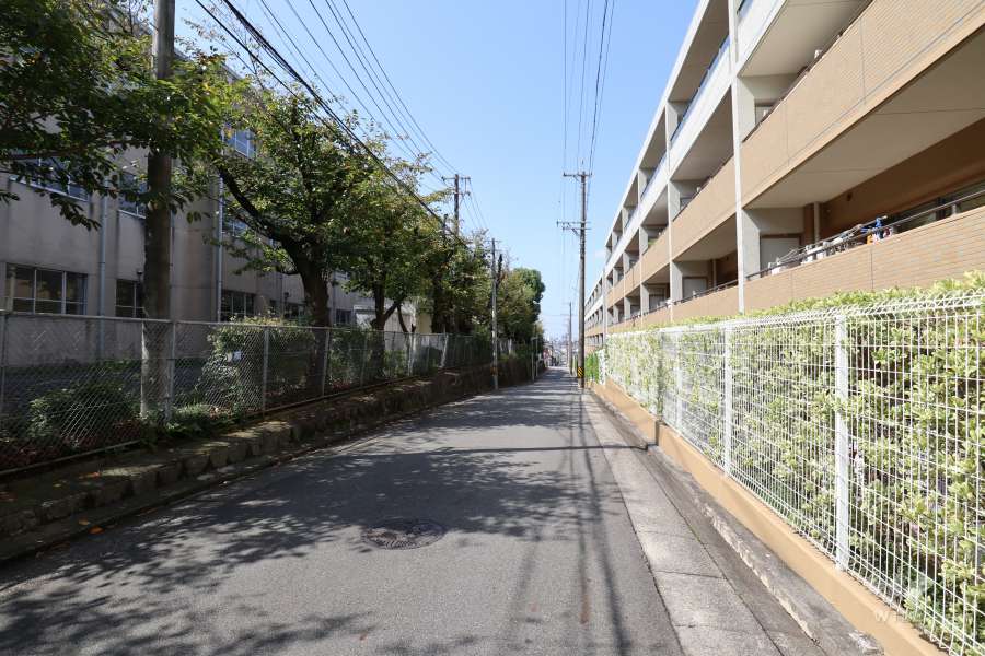 敷地の南側前面道路（東側から）
