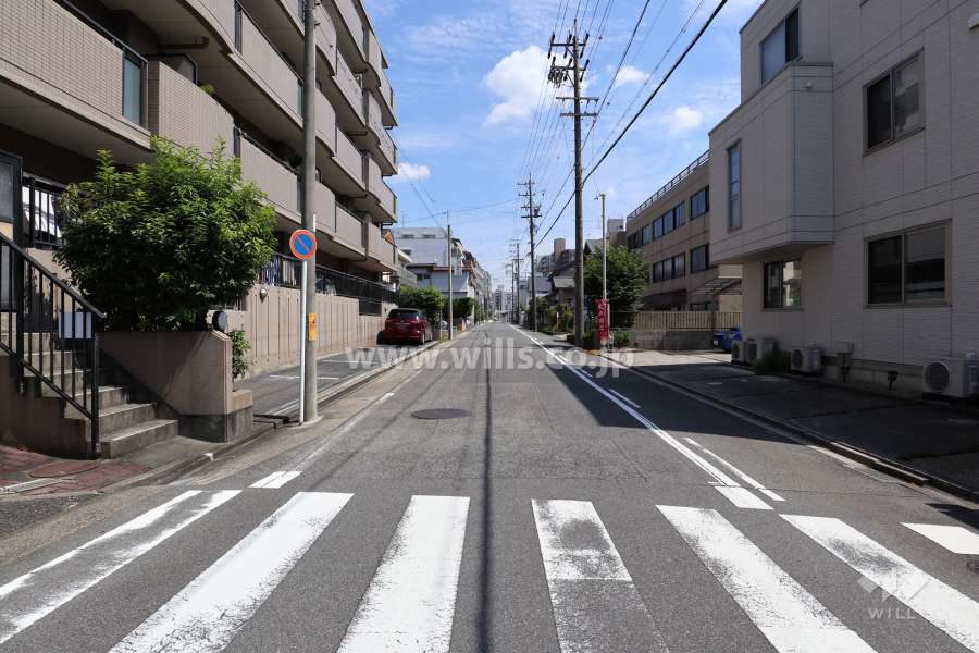敷地南側の前面道路（西側から）