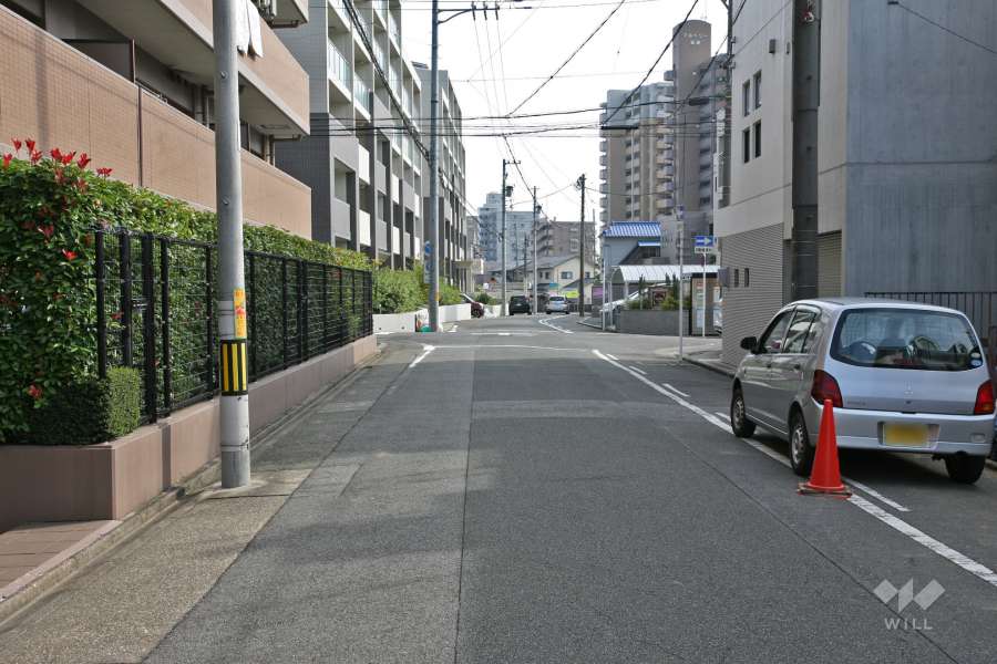 敷地南側の前面道路（西側から）
