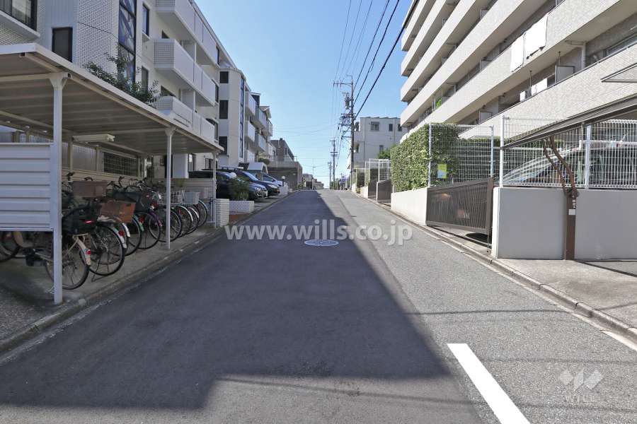 敷地北側の前面道路（東側から）