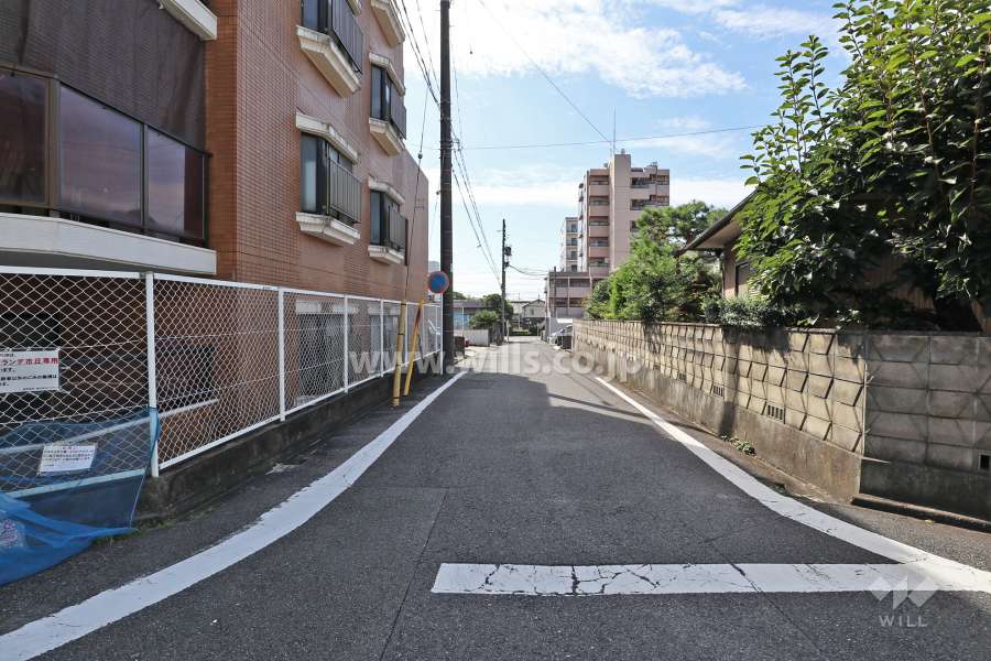 敷地西側の前面道路（北側から）