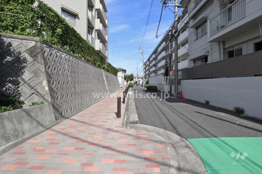 敷地北東側の前面道路
