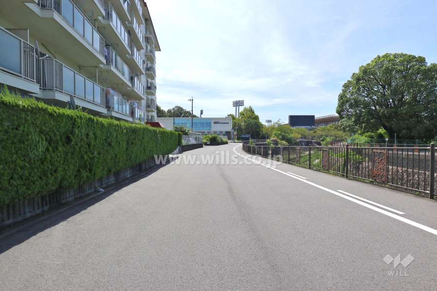 敷地西側の前面道路（北側から）