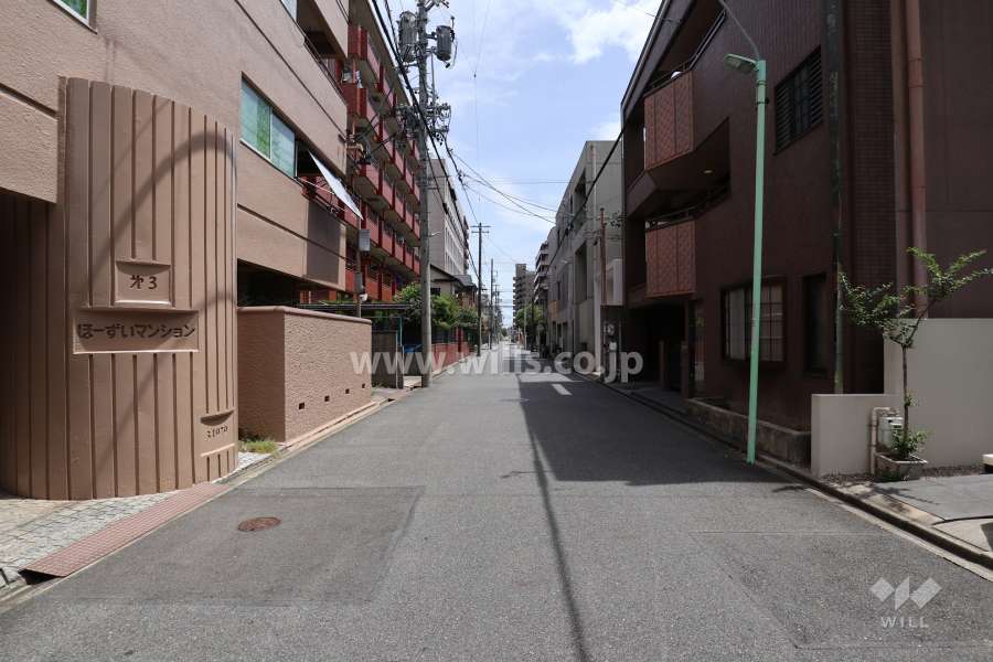 敷地南側の前面道路（西側から）