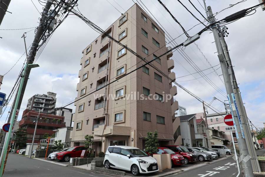 ルイシャトレ桜山の外観（北東側から）