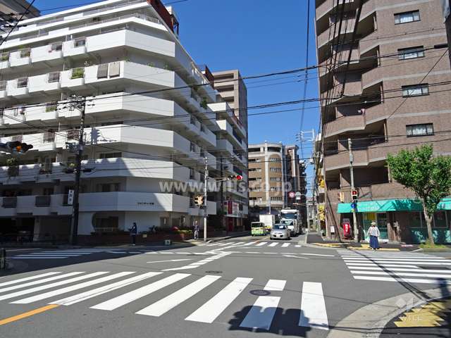敷地北側の前面道路（東側から）